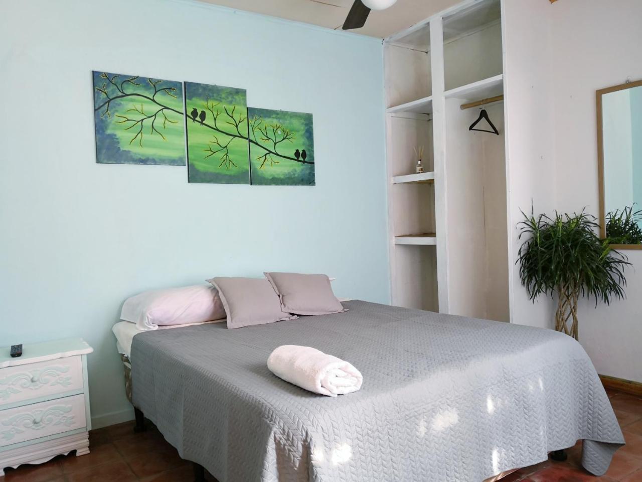 Vida Tropical Bed and Breakfast Alajuela Exteriör bild